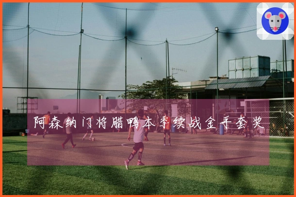 阿森纳门将腊鸭本季续战金手套奖