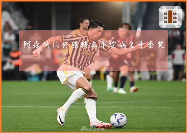 阿森纳门将腊鸭本季续战金手套奖