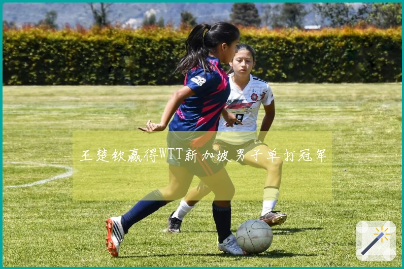 王楚钦赢得WTT新加坡男子单打冠军