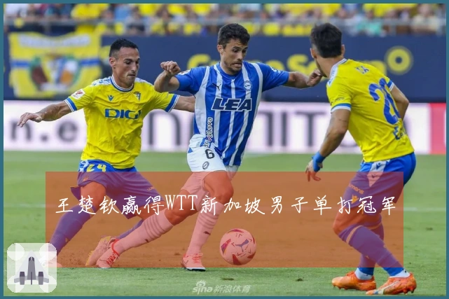 王楚钦赢得WTT新加坡男子单打冠军